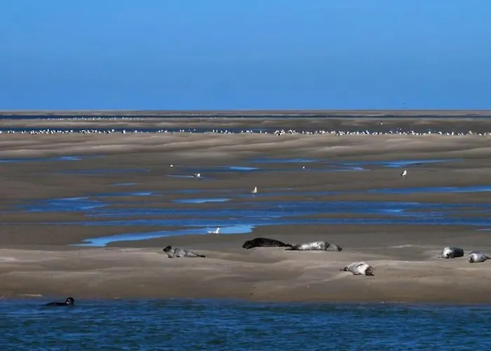 Chez Julian Belle Maison A 20 Minutes De La Baie De Somme