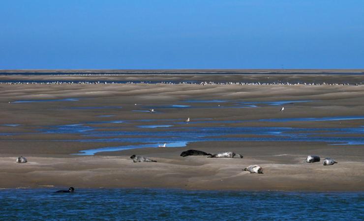 Chez Julian Belle Maison A 20 Minutes De La Baie De Somme *