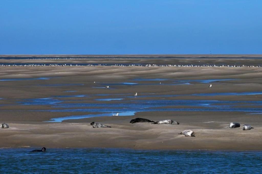 Chez Julian Belle Maison A 20 Minutes De La Baie De Somme